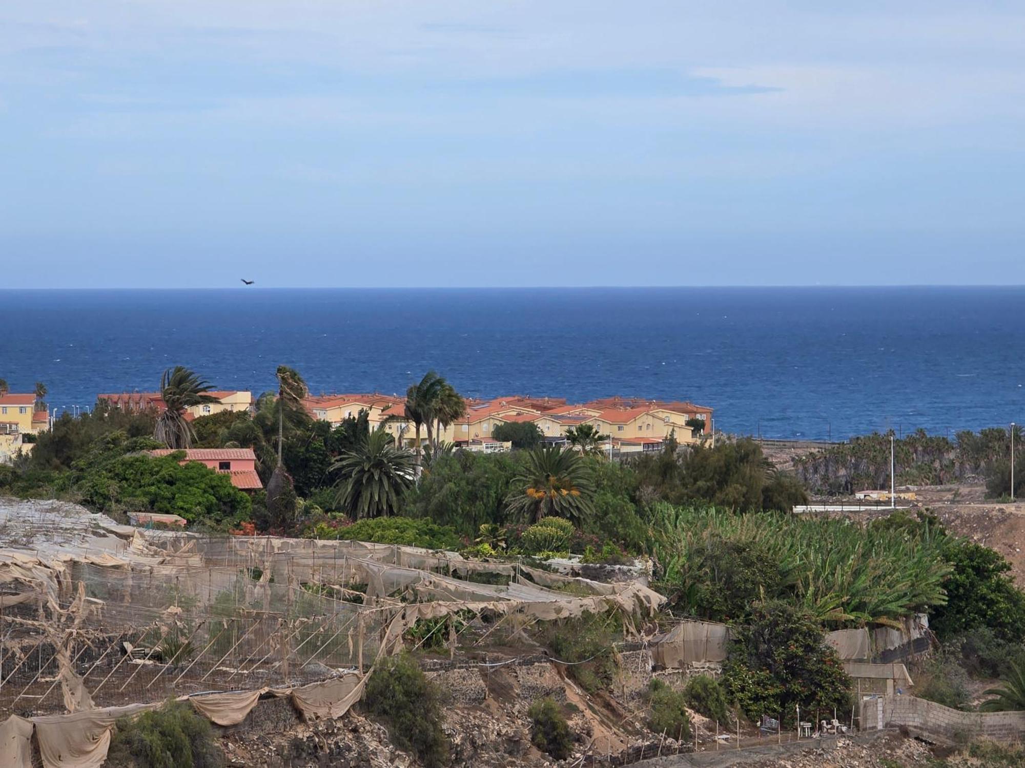 The Sealight Penthouse Apartment La Garita Bagian luar foto